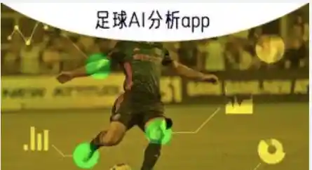 赛事深度解析